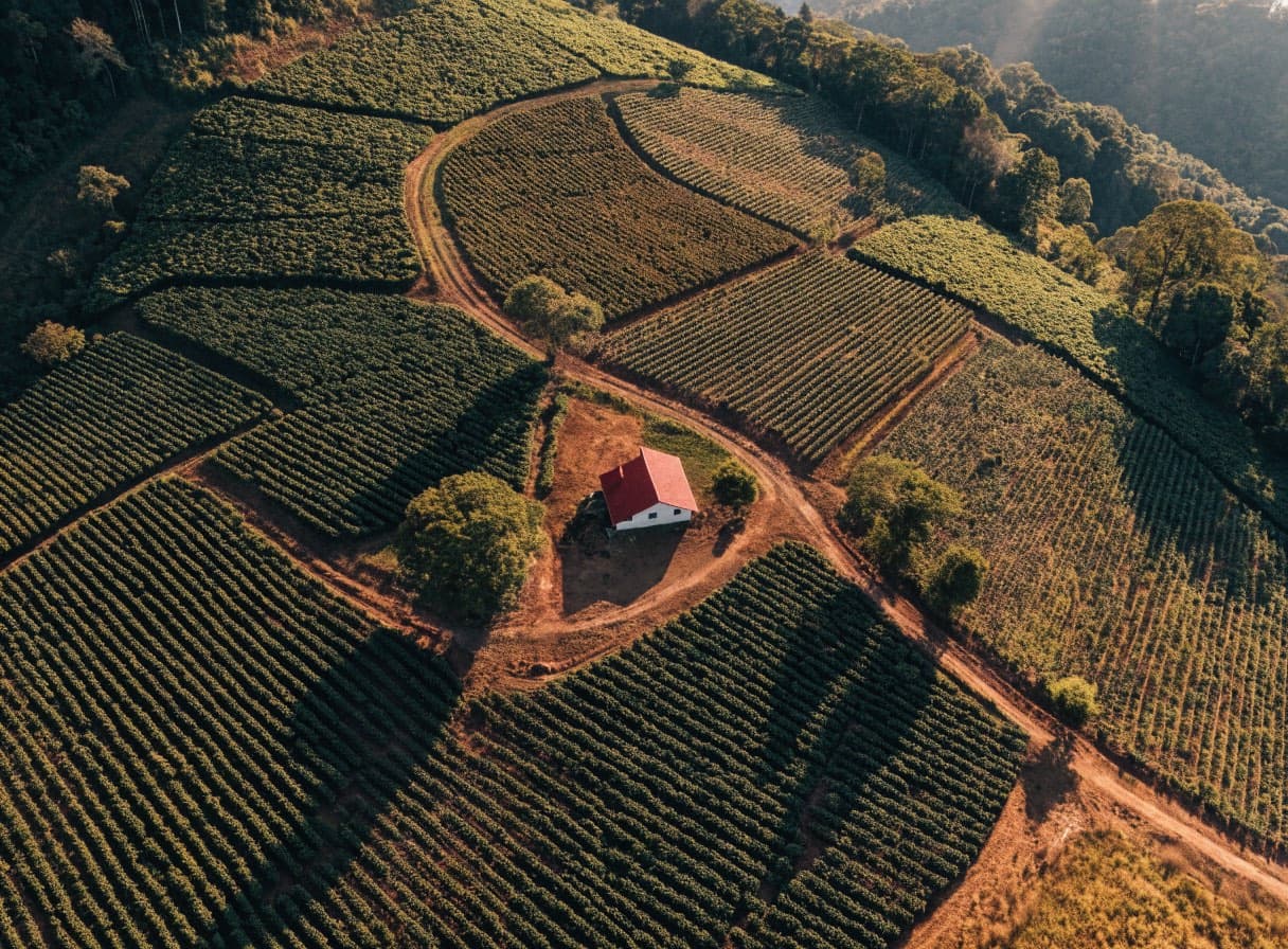 Vista aérea de la finca cafetera de Origin, cerca de Medellín